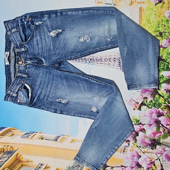 One‎ Teaspoon Freebird Distressed Zippered Ankle Capri Jeans Size 26 - Picture 1 of 8
